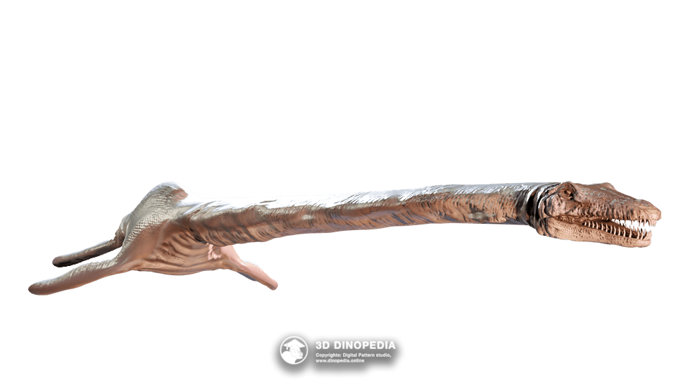 Albertonectes Dino Pet