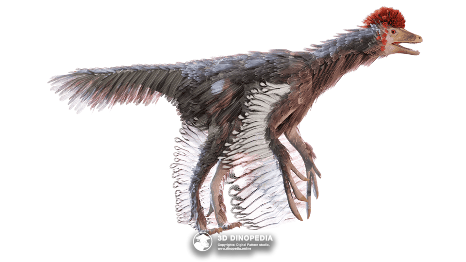 Anchiornis Dino Pet