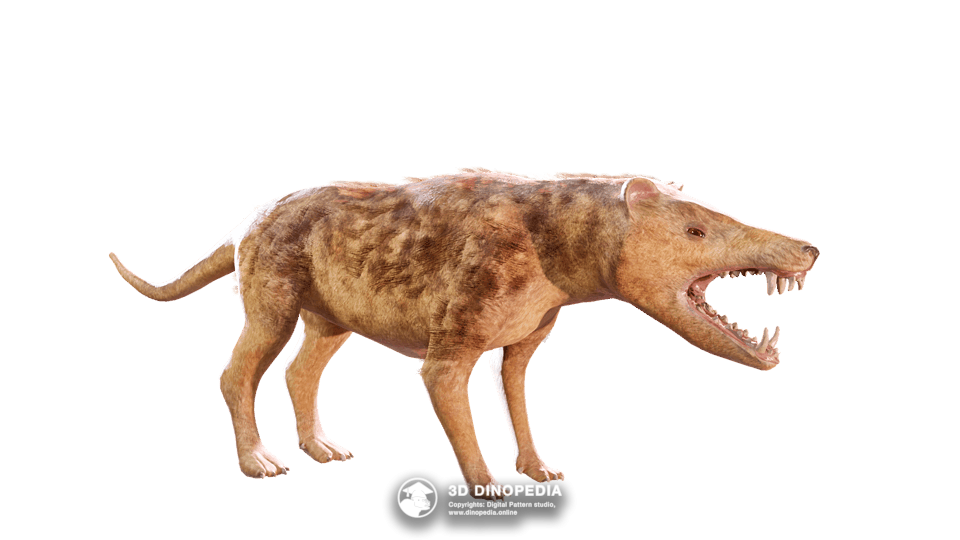 Andrewsarchus Dino Pet