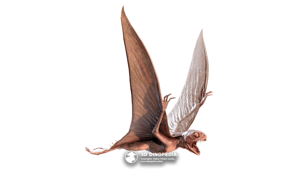 Anurognathus Dino Pet