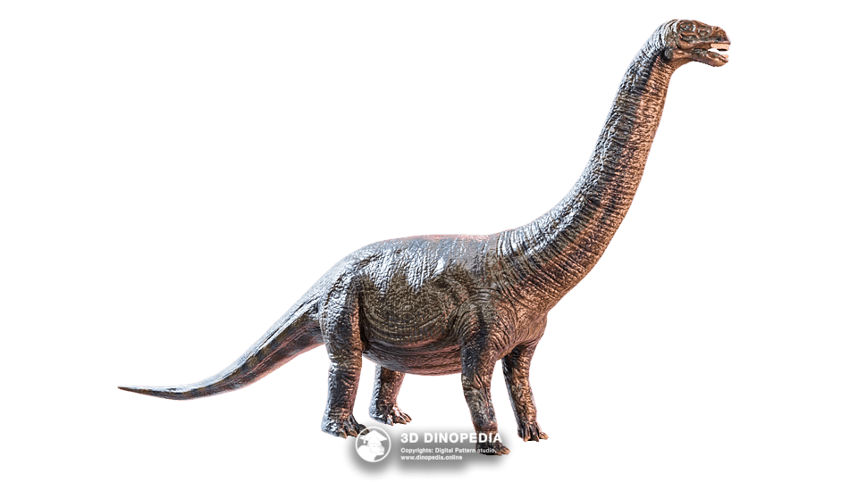 Apatosaurus Dino Pet