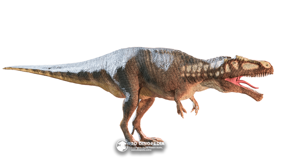 Carcharodontosaurus Dino Pet