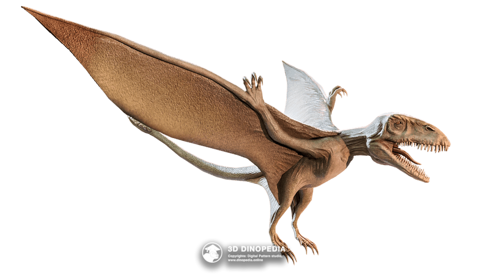 Dimorphodon Dino Pet