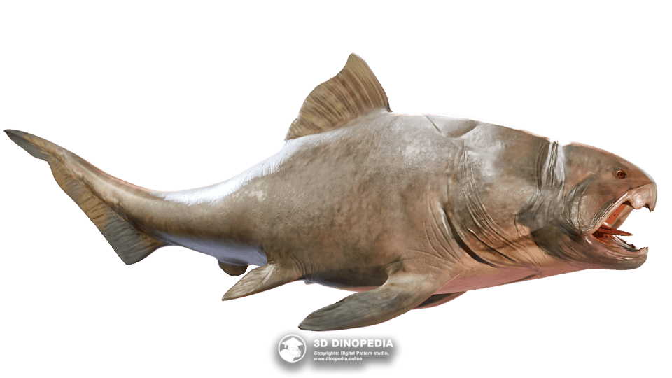 Dunkleosteus Dino Pet