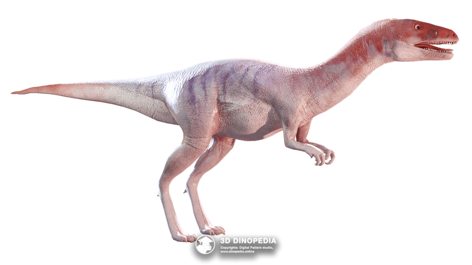 Eoraptor Dino Pet