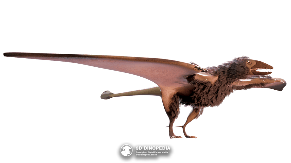 Eudimorphodon Dino Pet