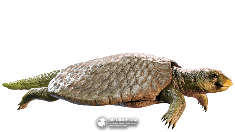Henodus Dino Pet