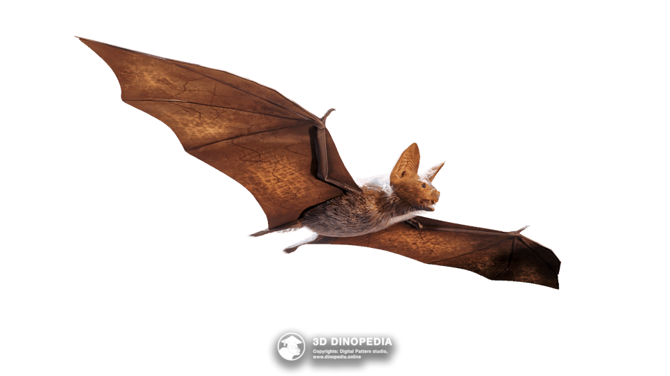 Icaronycteris Dino Pet