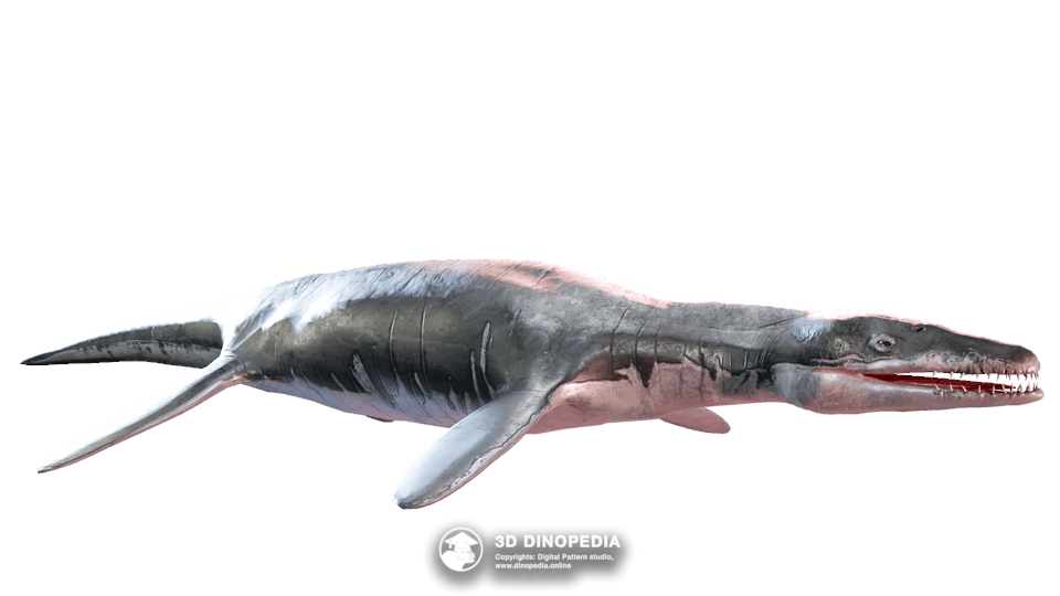Liopleurodon Dino Pet