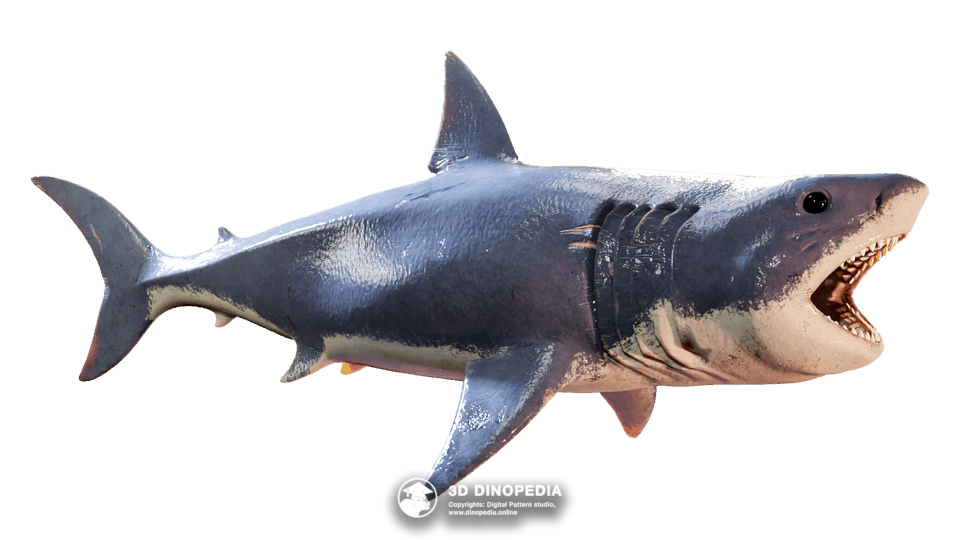Megalodon Dino Pet
