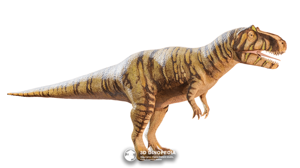 Metriacanthosaurus Dino Pet