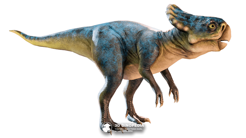 Microceratus Dino Pet