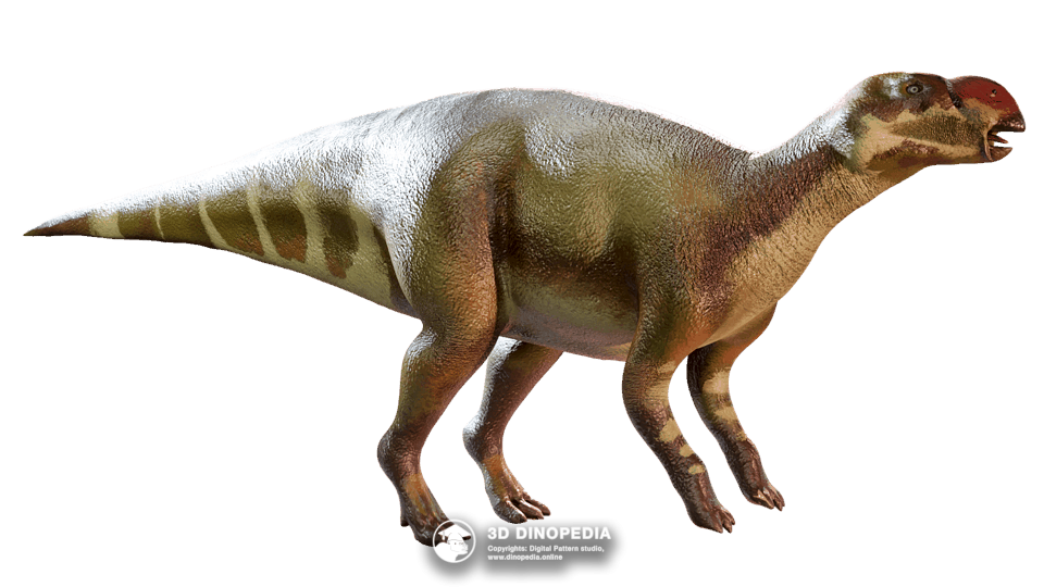 Muttaburrasaurus Dino Pet