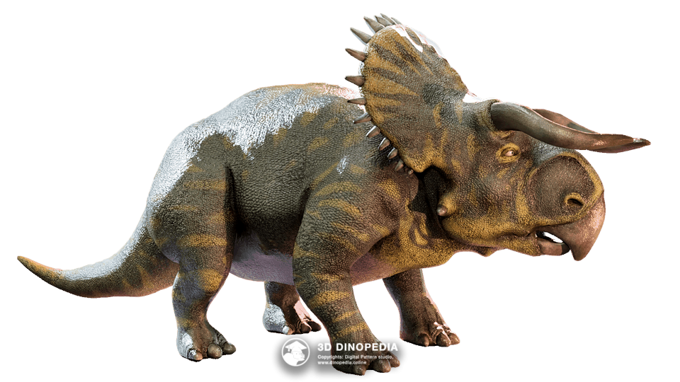 Nasutoceratops Dino Pet