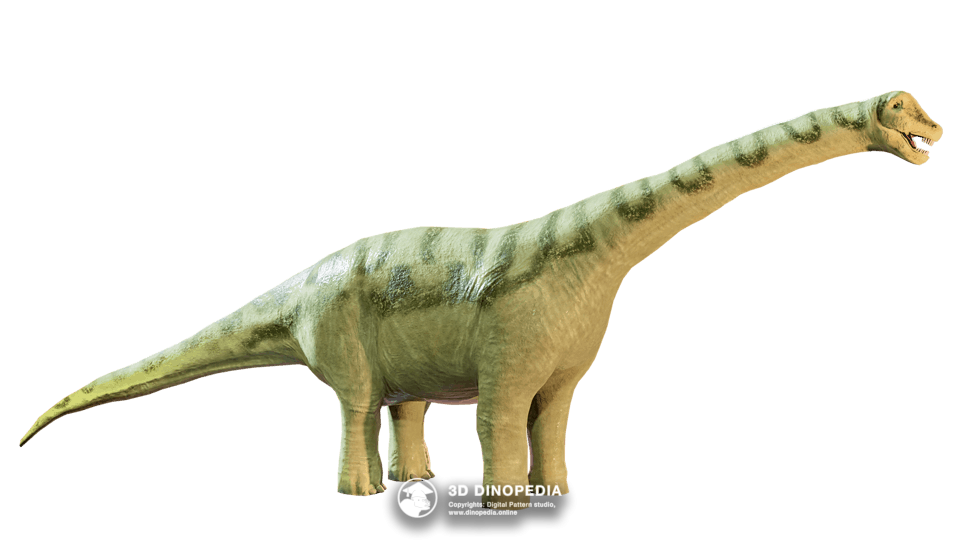 Opisthocoelicaudia Dino Pet