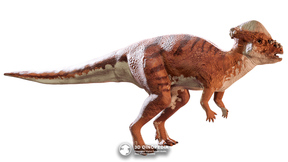 Pachycephalosaurus Dino Pet