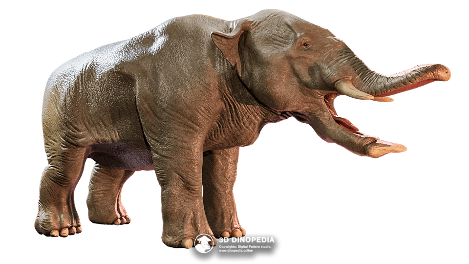 Platybelodon Dino Pet