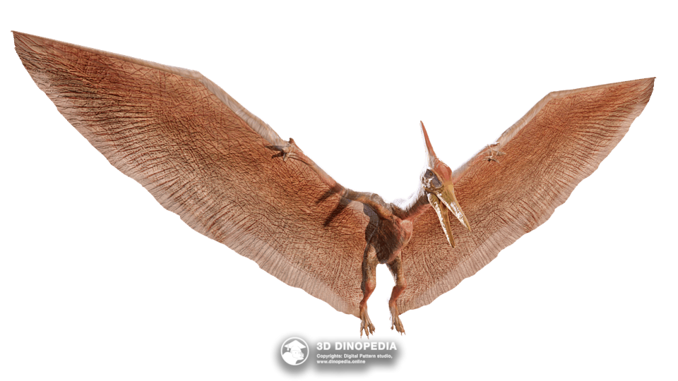 Pteranodon Dino Pet