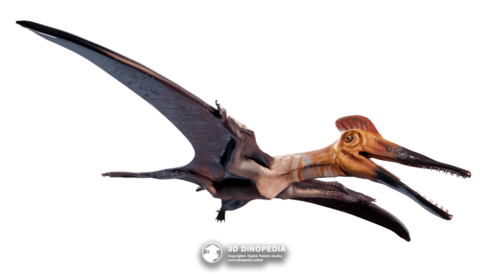 Pterodactylus Dino Pet