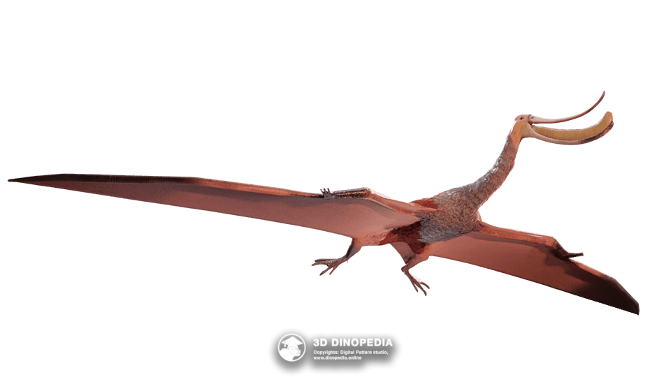 Pterodaustro Dino Pet