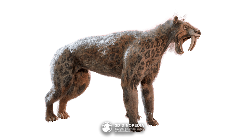 Smilodon Dino Pet