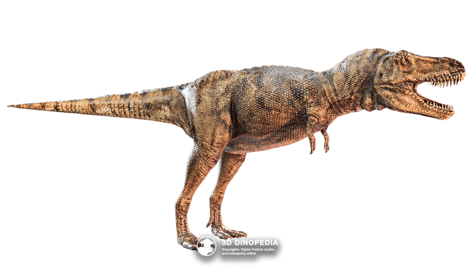 Tarbosaurus bataar Dino Pet