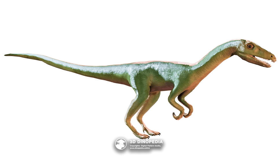 Tawa hallae Dino Pet