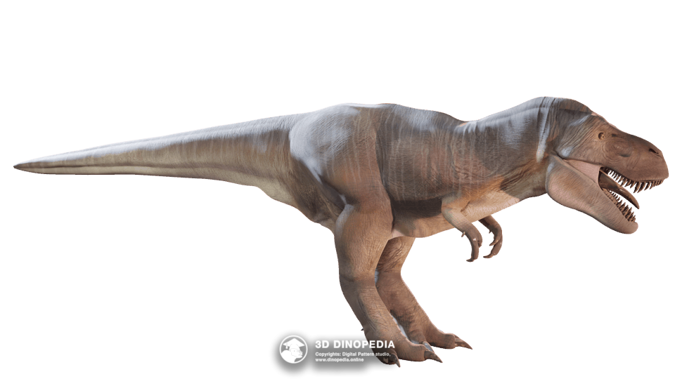 Tyrannosaurus Dino Pet