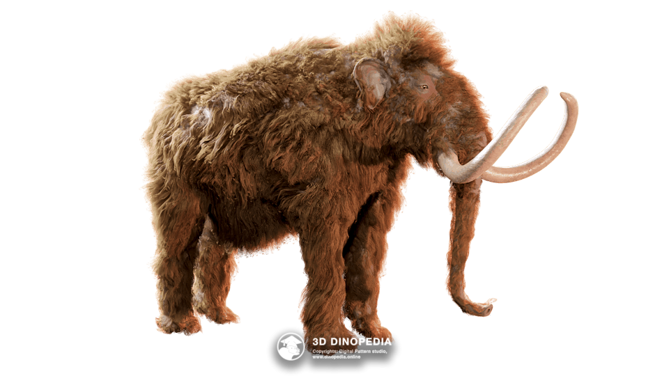 Wooly Mammoth Dino Pet