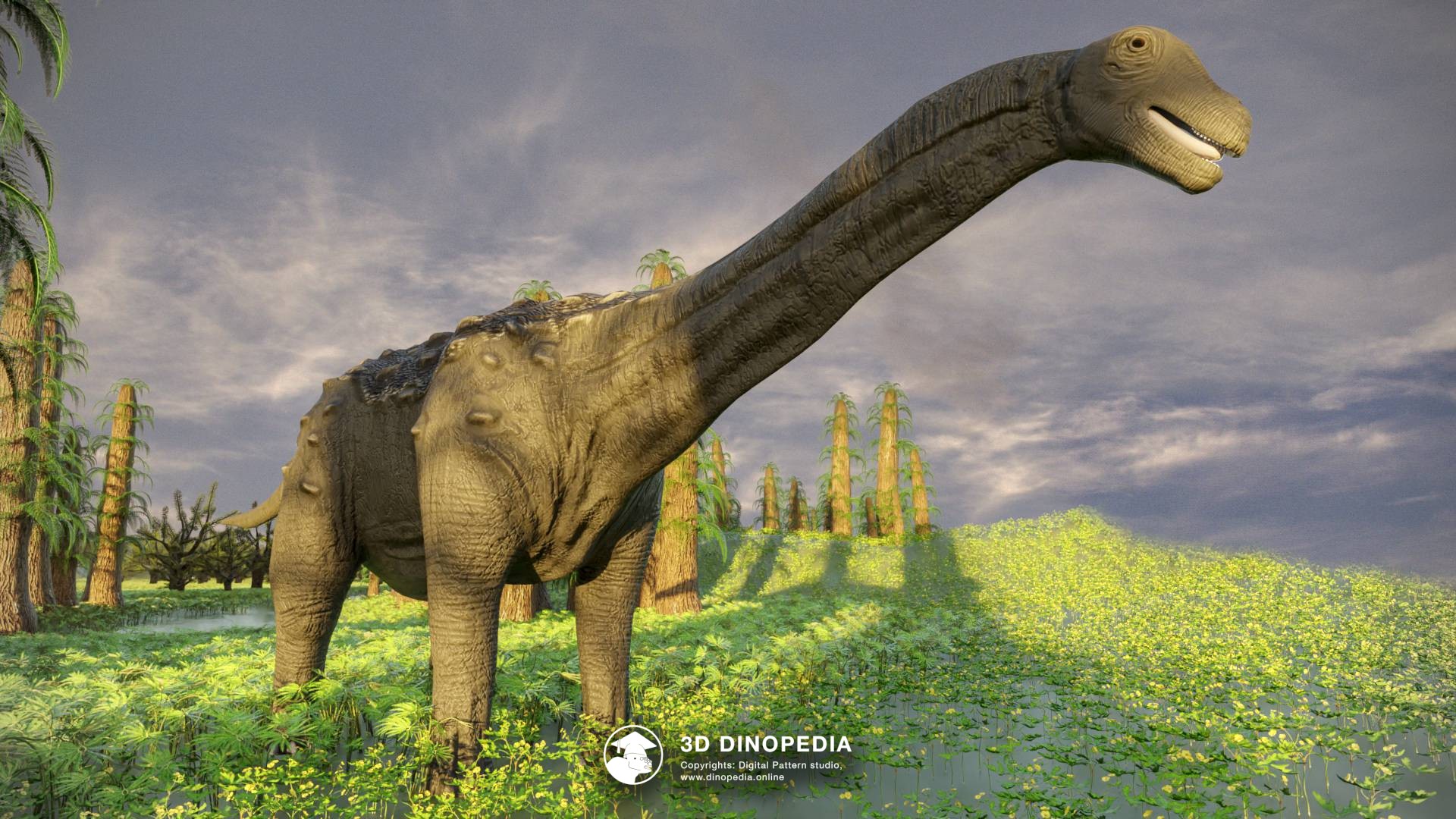 3D Dinopedia Unveiling 3D Dinopedia's Newest Inhabitants!