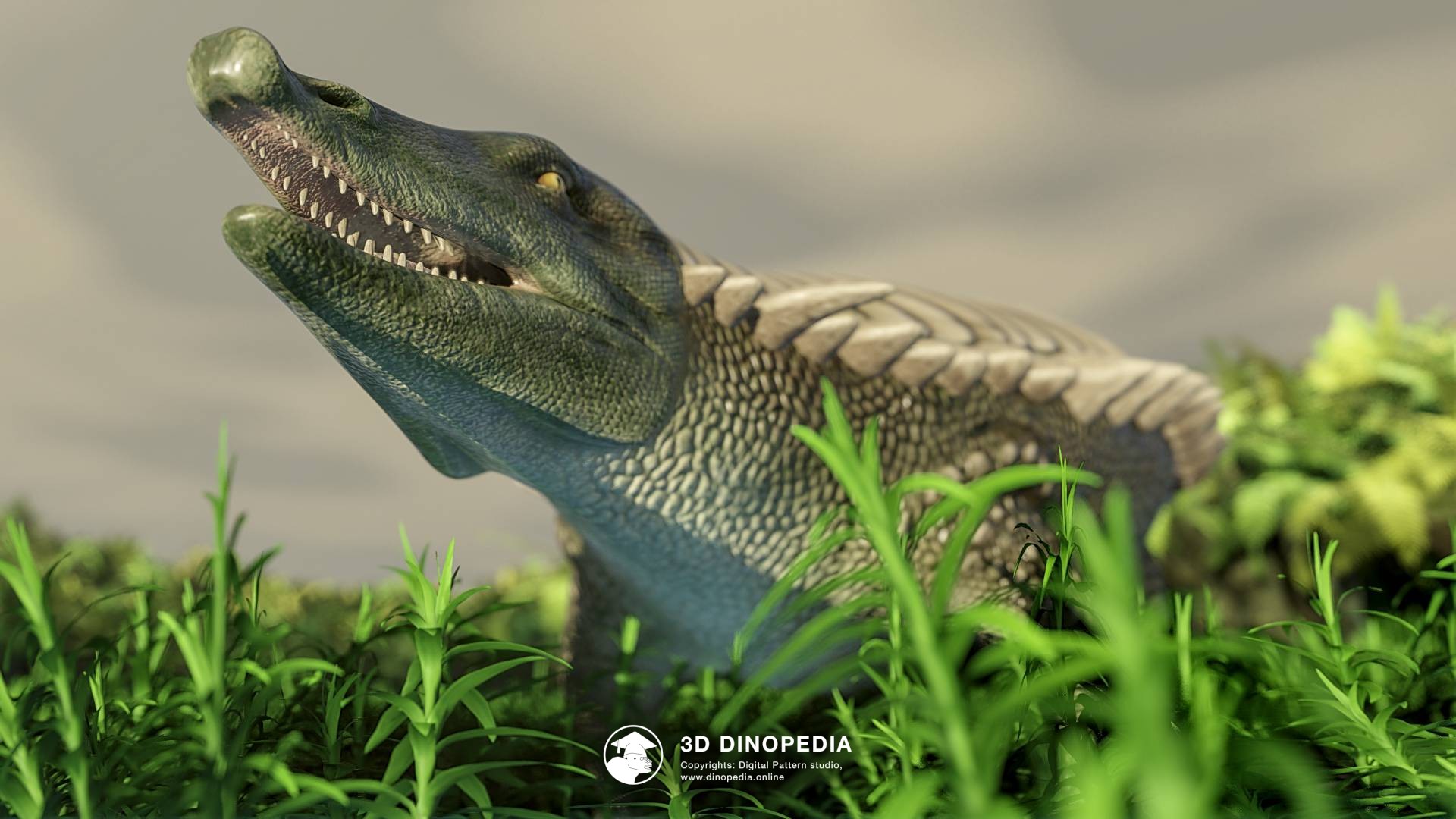3D Dinopedia Представляем Новых Обитателей 3D Dinopedia!