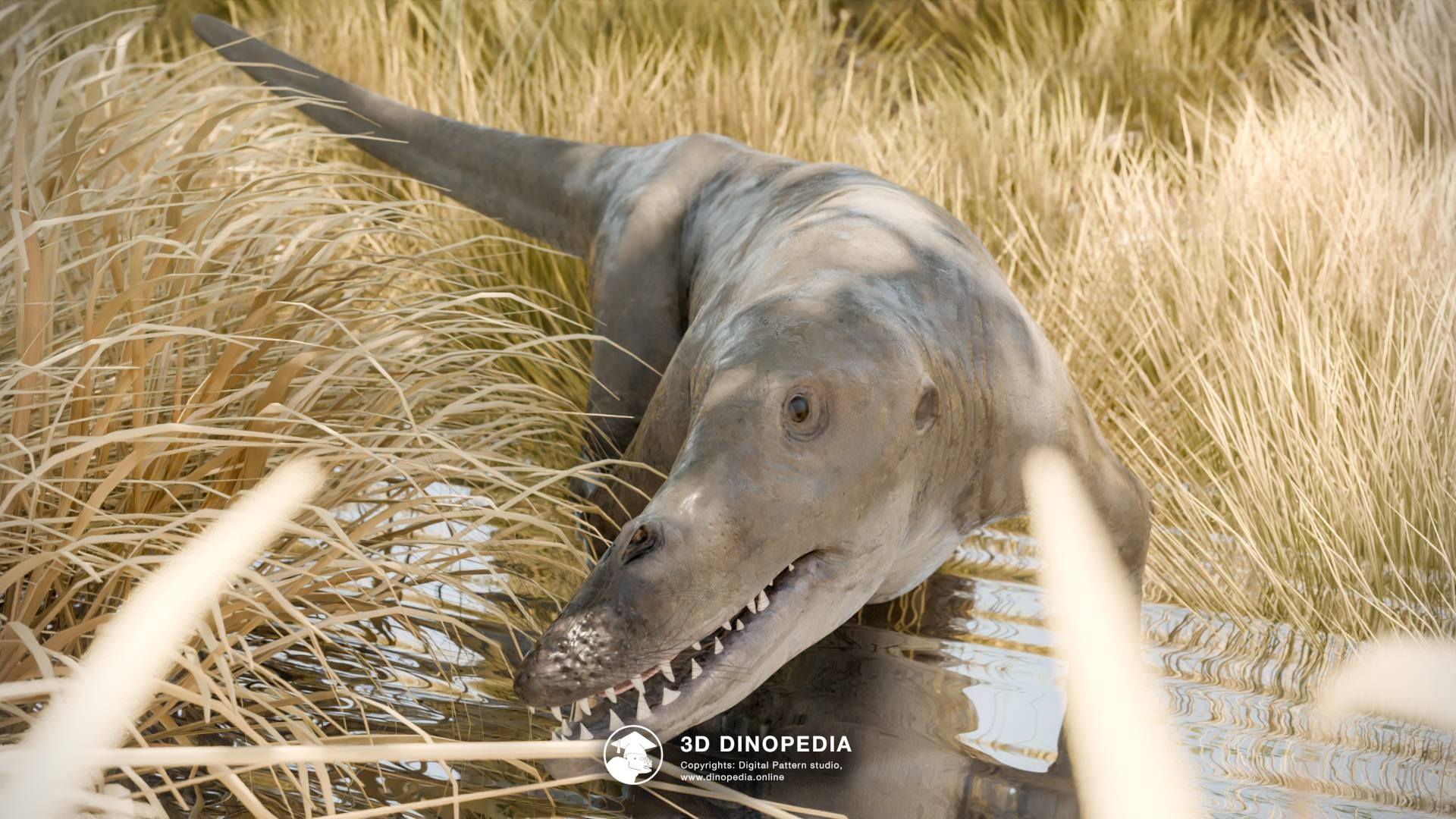 3D Dinopedia Представляем Новых Обитателей 3D Dinopedia!