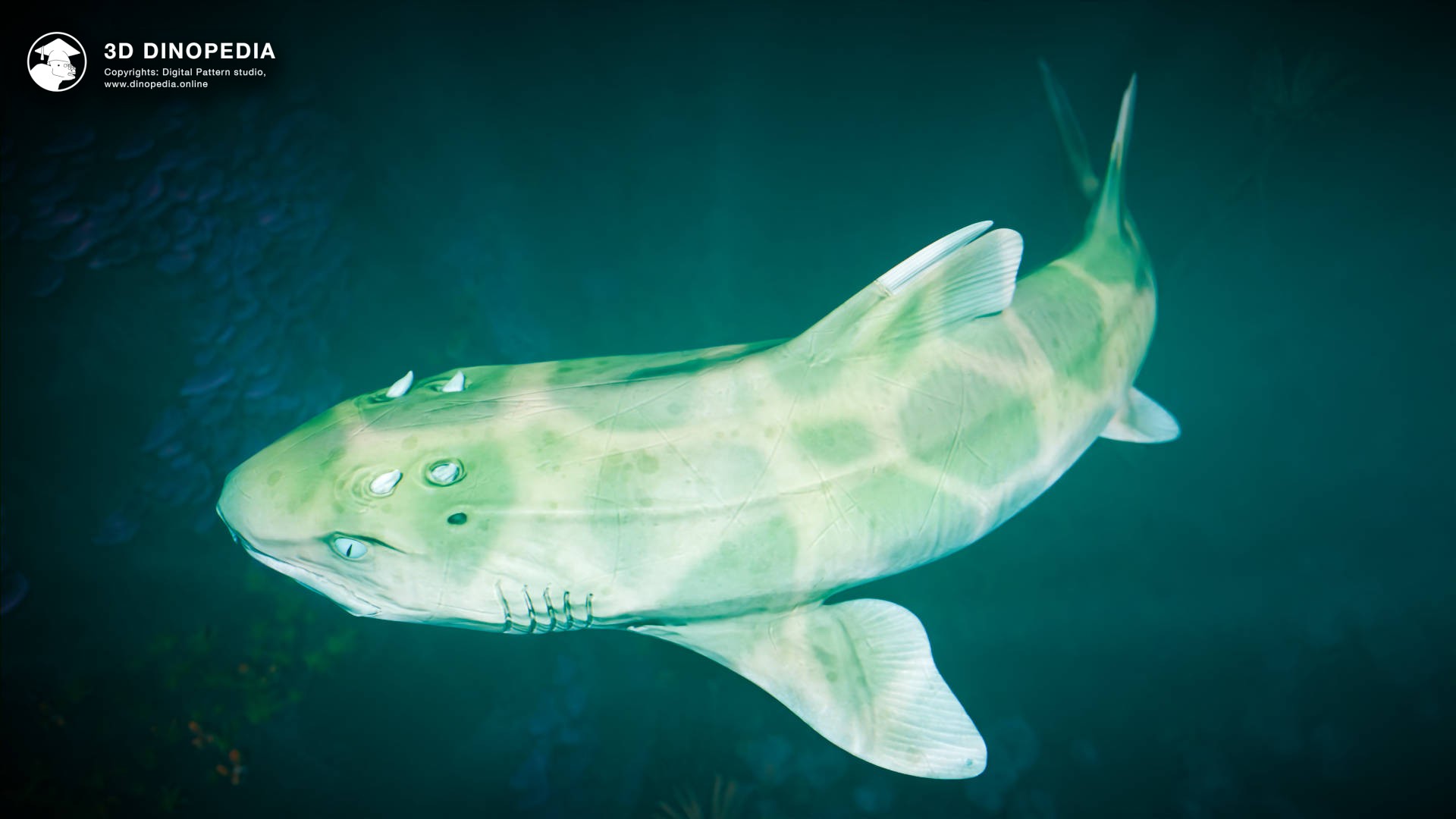 Meet Hybodus - the shark that outlasted ages! | 3D Dinopedia