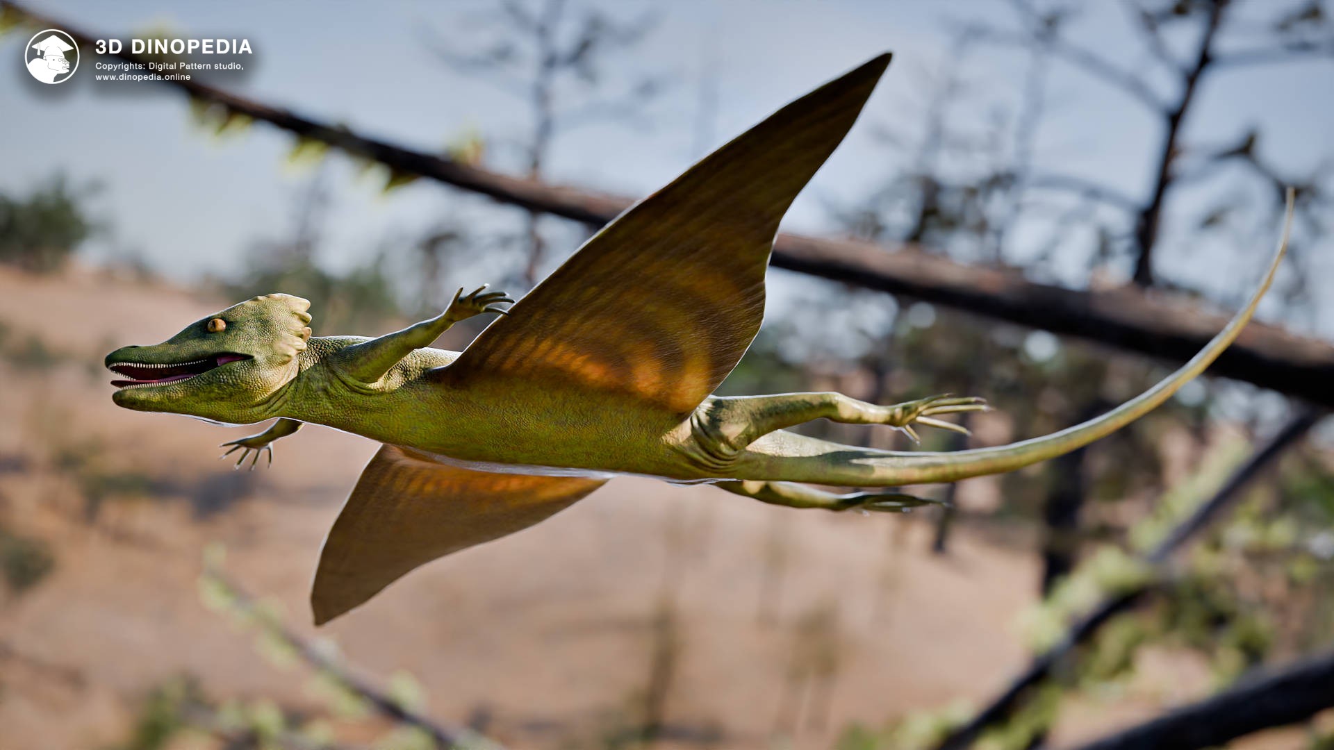 Weigeltisaurus — The Gliding Reptile of the Permian | 3D Dinopedia