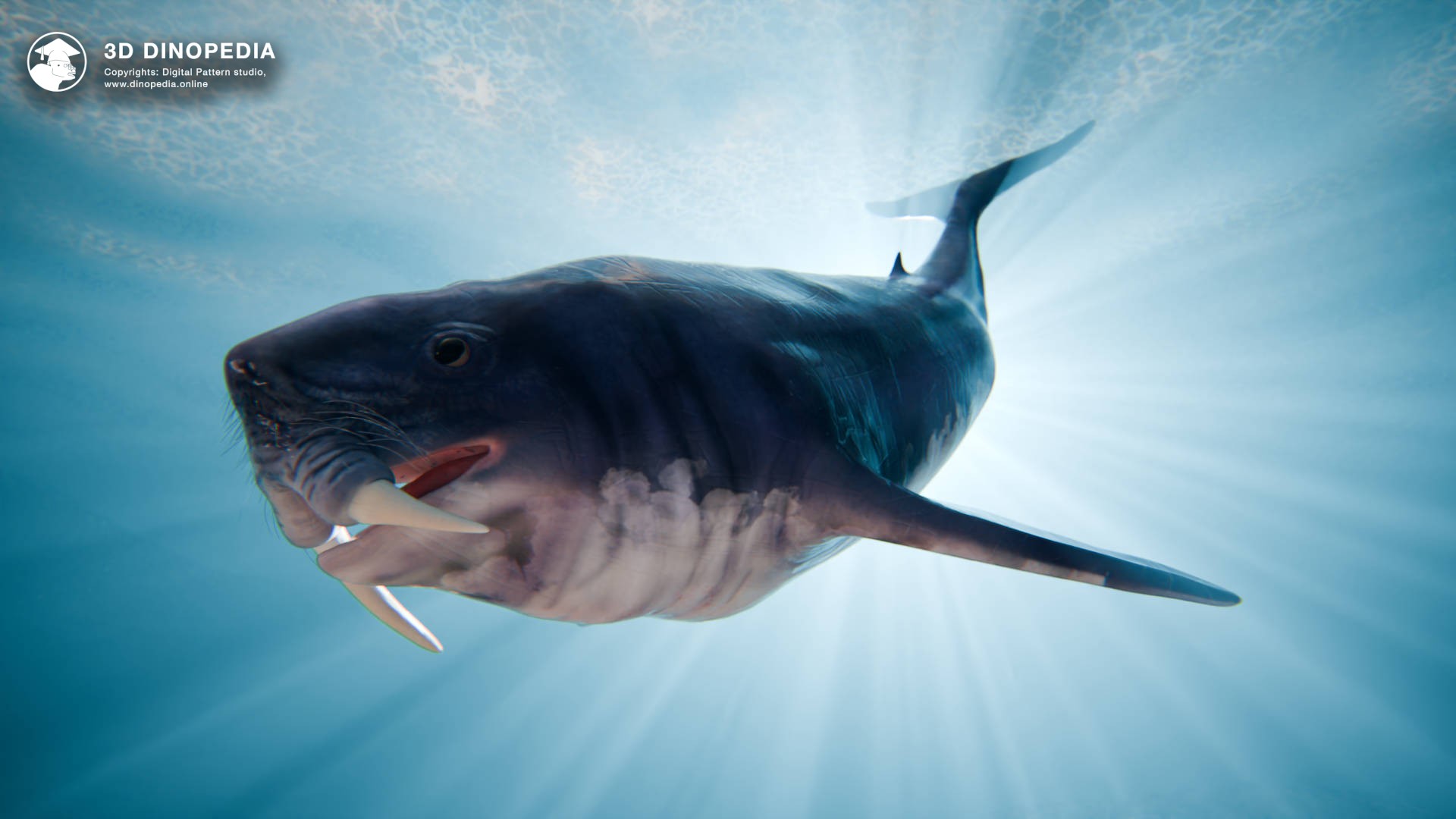 Odobenocetops — The Whale That Looked Like a Walrus | 3D Dinopedia