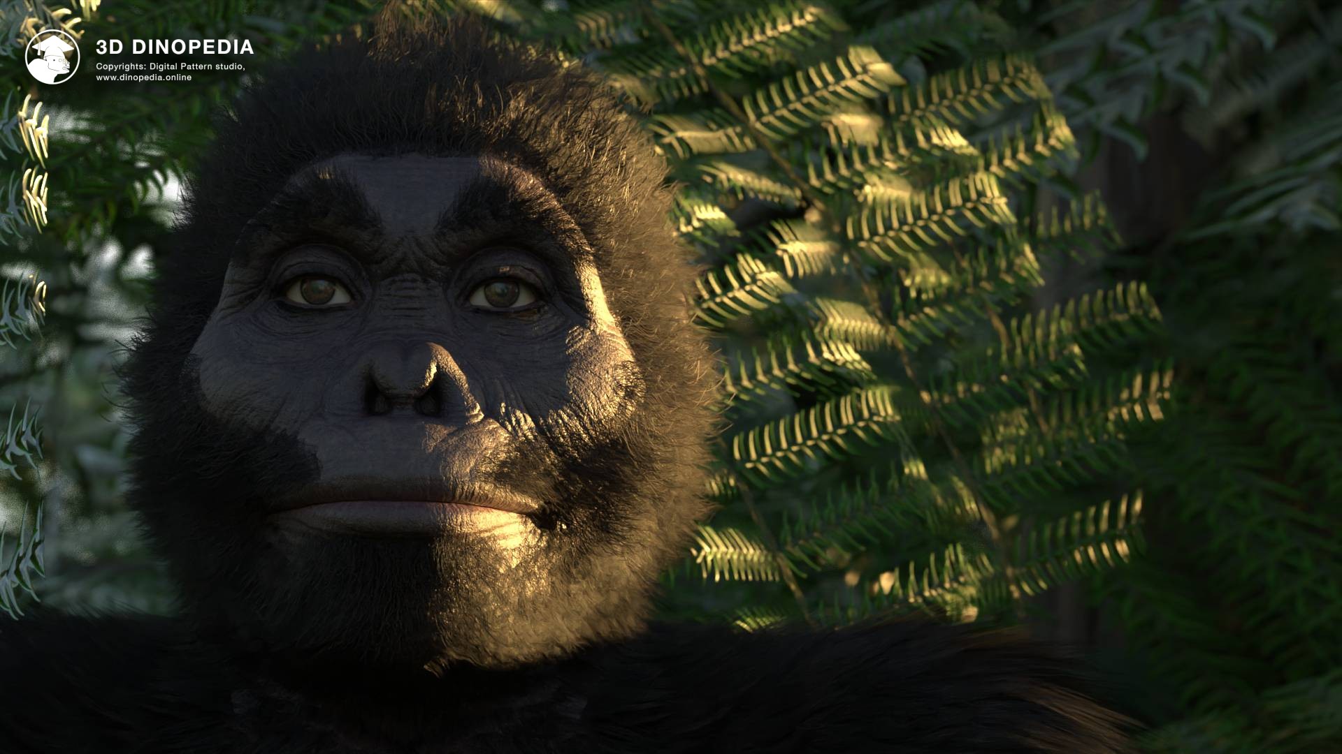 3D Dinopedia Remastered Australopithecus! Explore Human Ancestors!