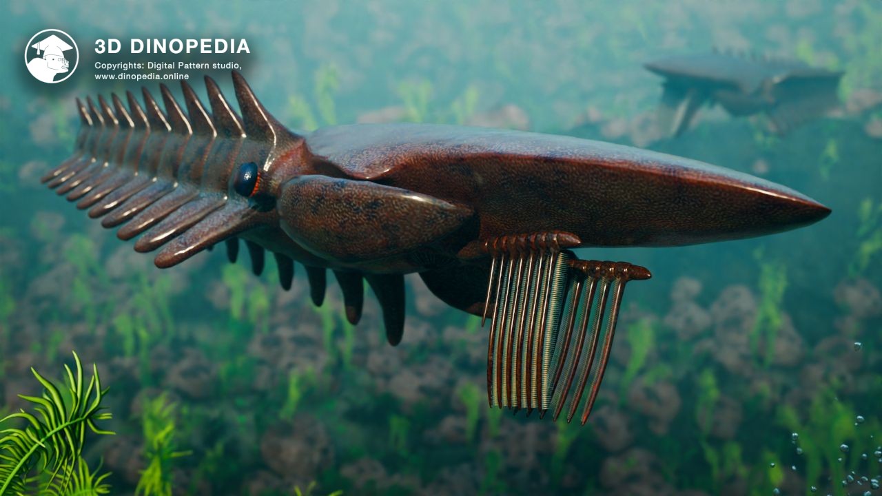 3D Dinopedia Unveiling Aegirocassis: The Ancient "King of Shrimp" in 3D!