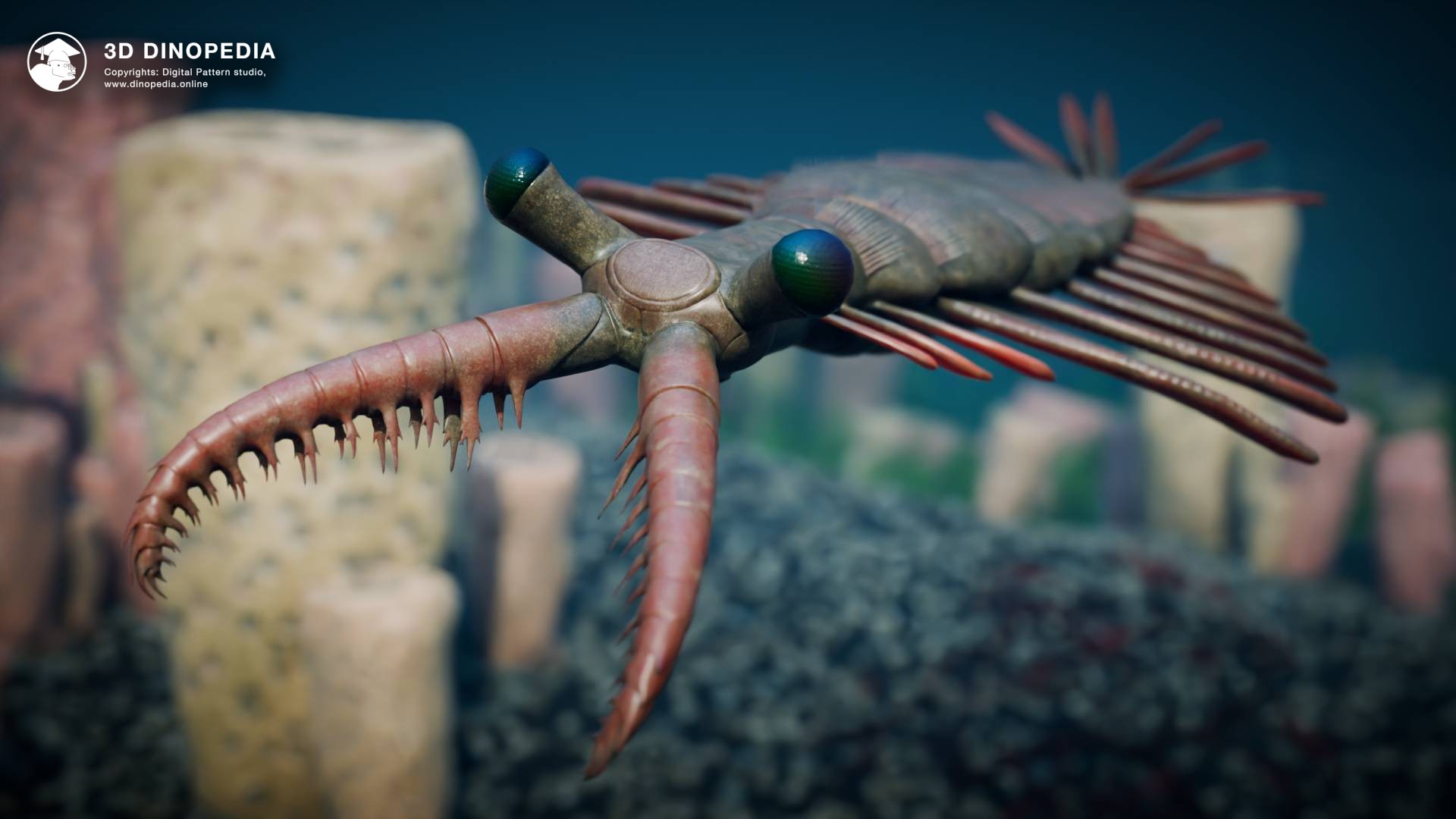 3D Dinopedia Discover the Ancient Anomalocaris - A Top Predator of the Cambrian Seas