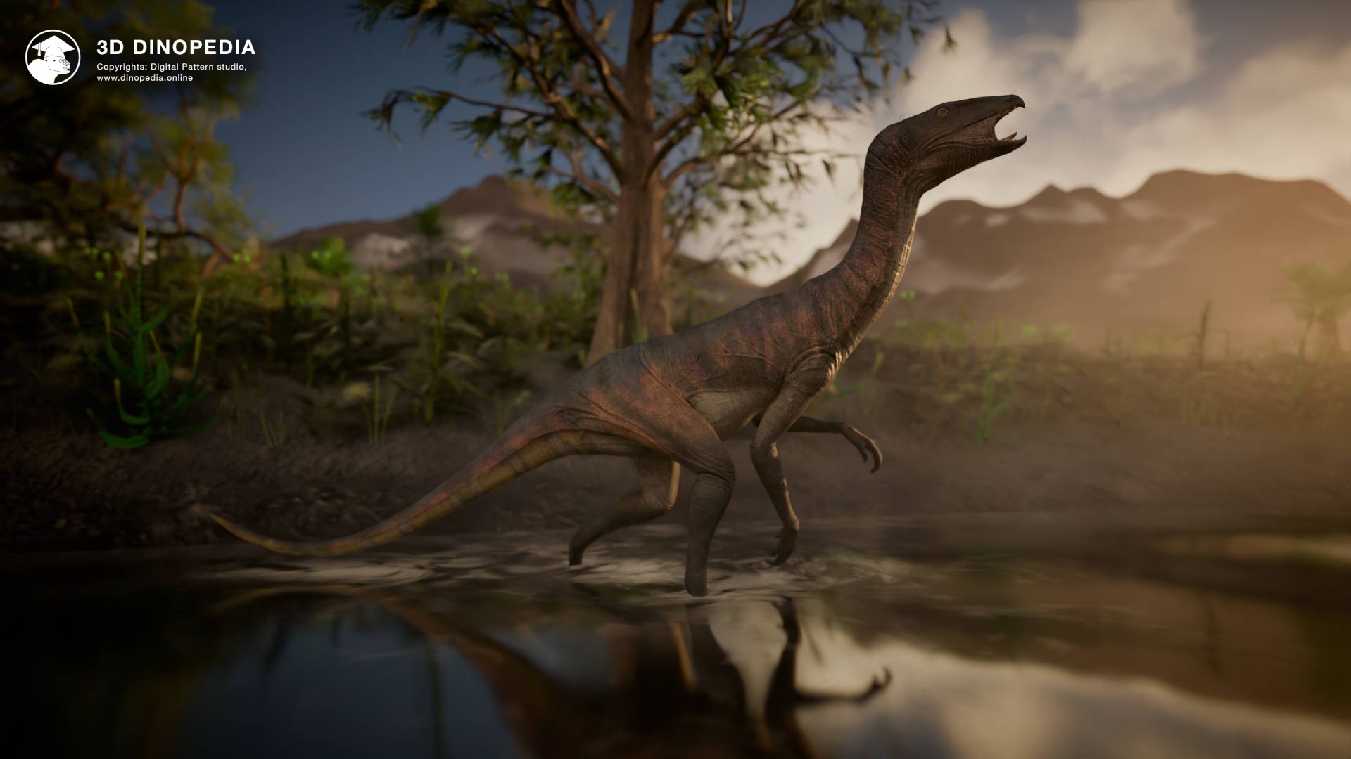 Meet Silesaurus in 3D Dinopedia! | 3D Dinopedia