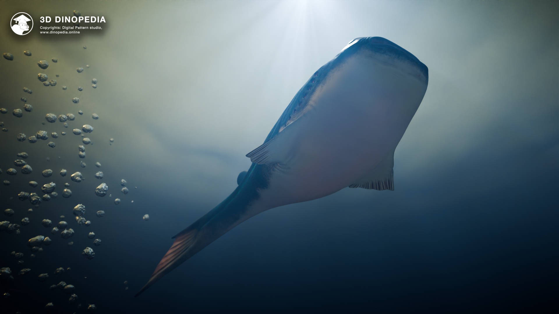 Thelodus: Silurian Jawless Fish in 3D | 3D Dinopedia