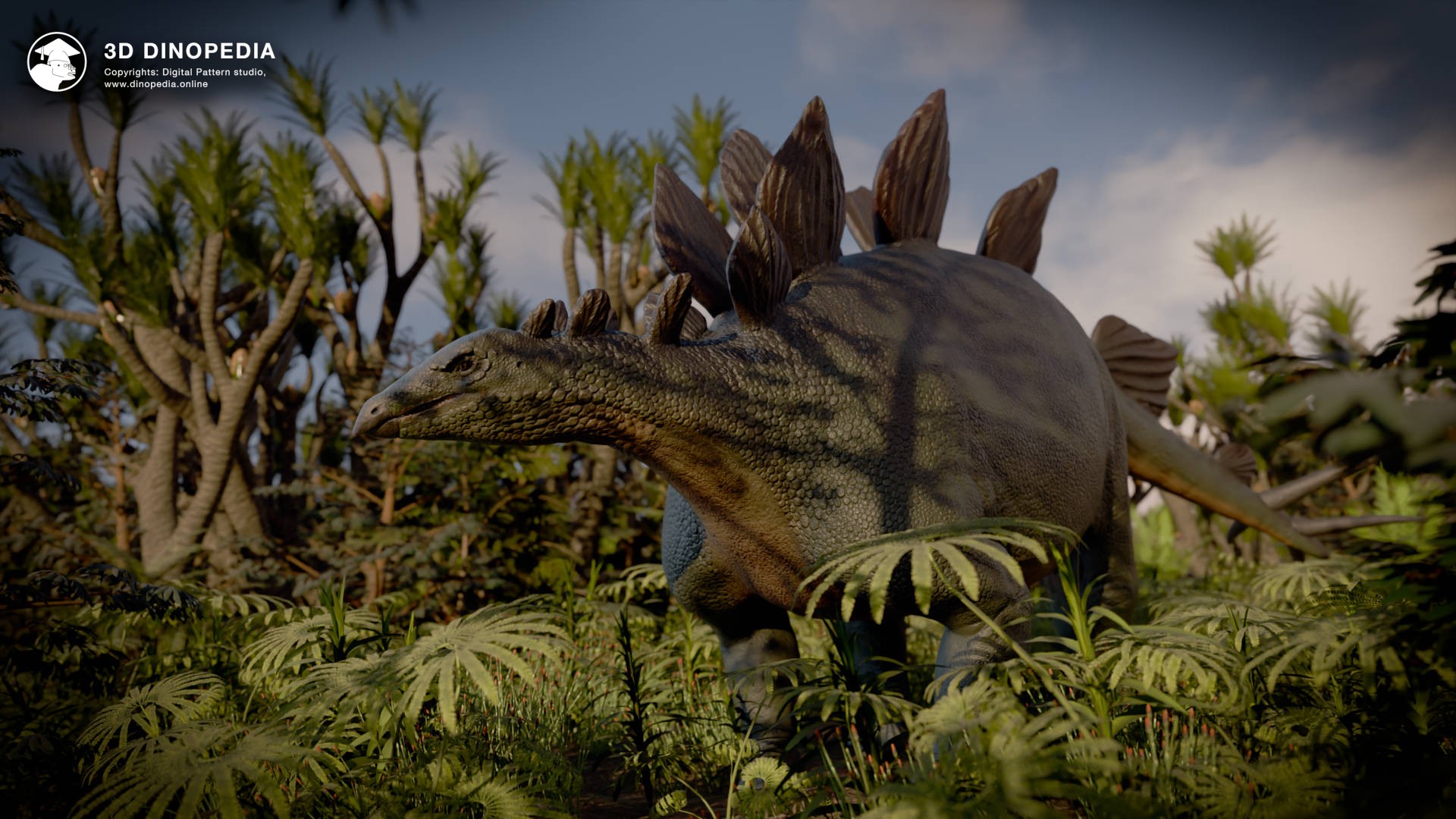 Stegosaurus: Now Scientifically Accurate! | 3D Dinopedia