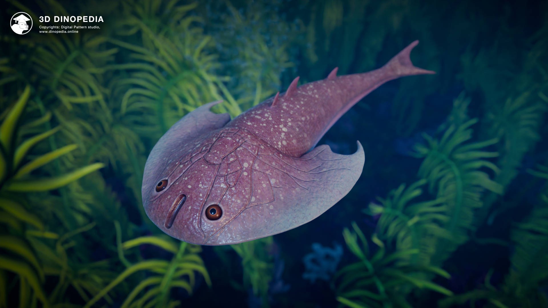3D Dinopedia Tujiaaspis shield of ancient seas