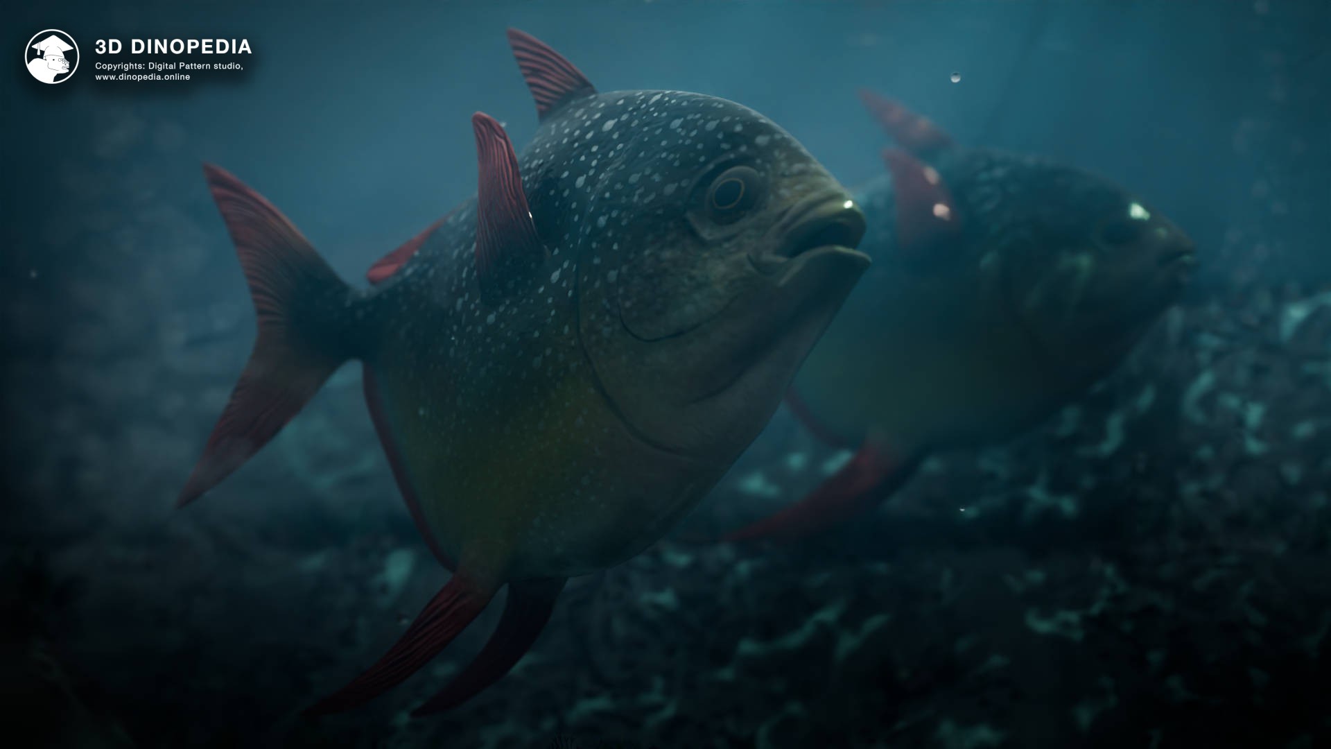 3D Dinopedia Megalampris giant of the Oligocene seas