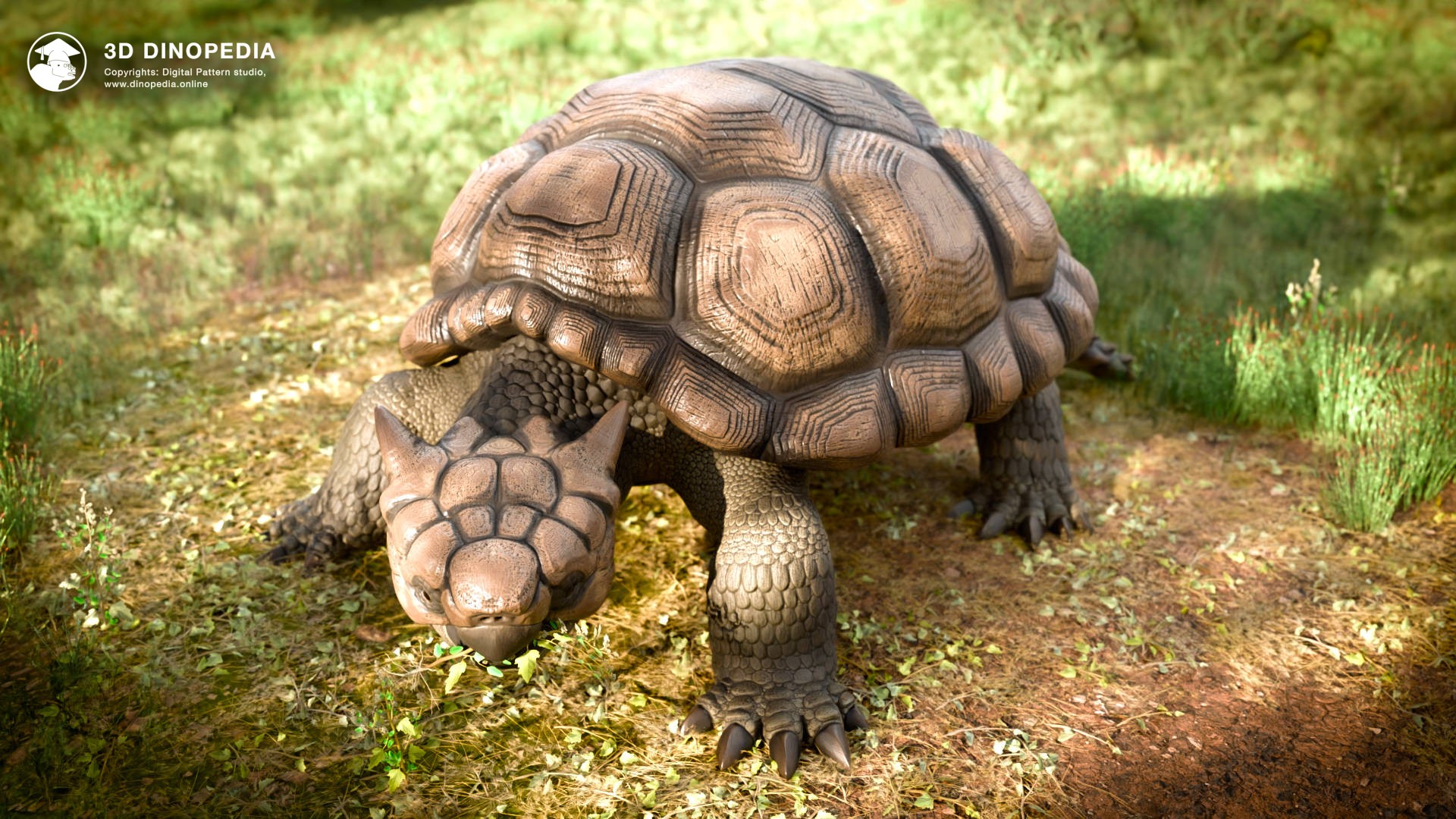 3D Dinopedia Meiolania the giant turtle of ancient Australia