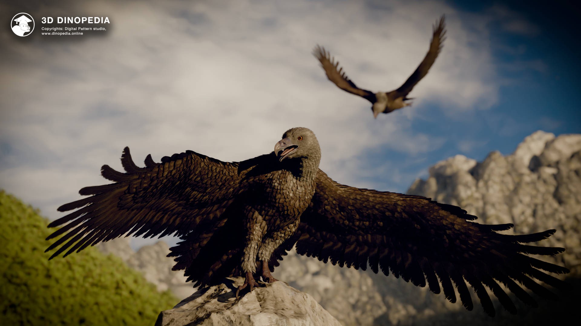 3D Dinopedia New to 3D Dinopedia - Argentavis