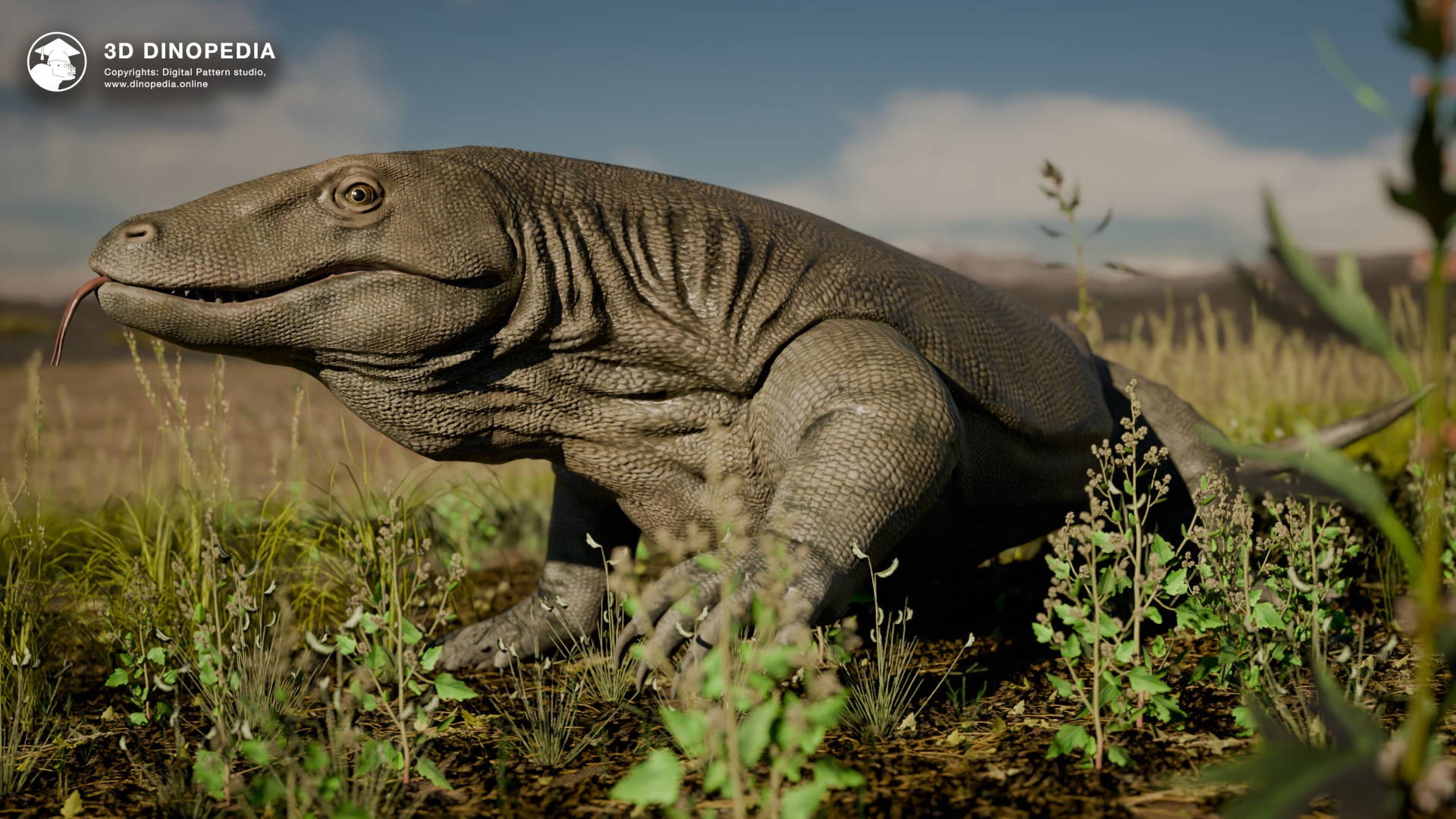 Новая модель: Мегалания — гигантский варан Австралии | 3D Dinopedia