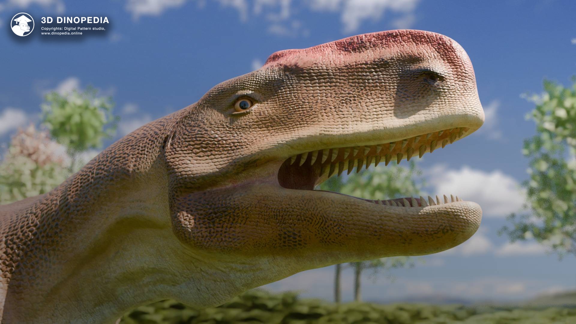 3D Dinopedia New 3D Cronopio & Dino Update!
