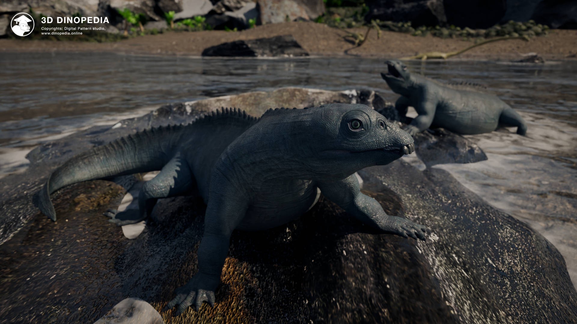 3D Dinopedia New Model: Placodus — the Triassic Shell Crusher